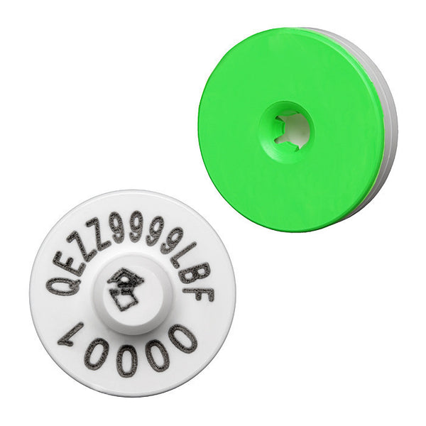 Queensland - NLIS Cattle Enviro Breeder Tag