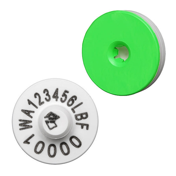 Western Australia - NLIS Cattle Enviro Breeder Tag