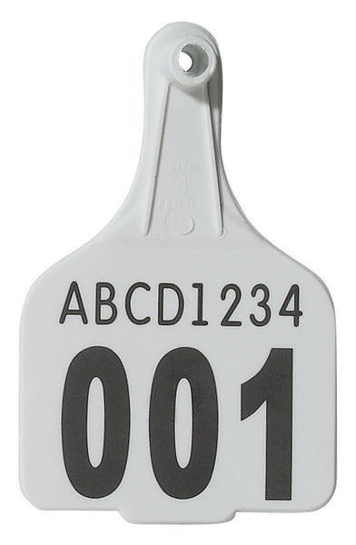 Queensland - Management Tag (F4 + M1)